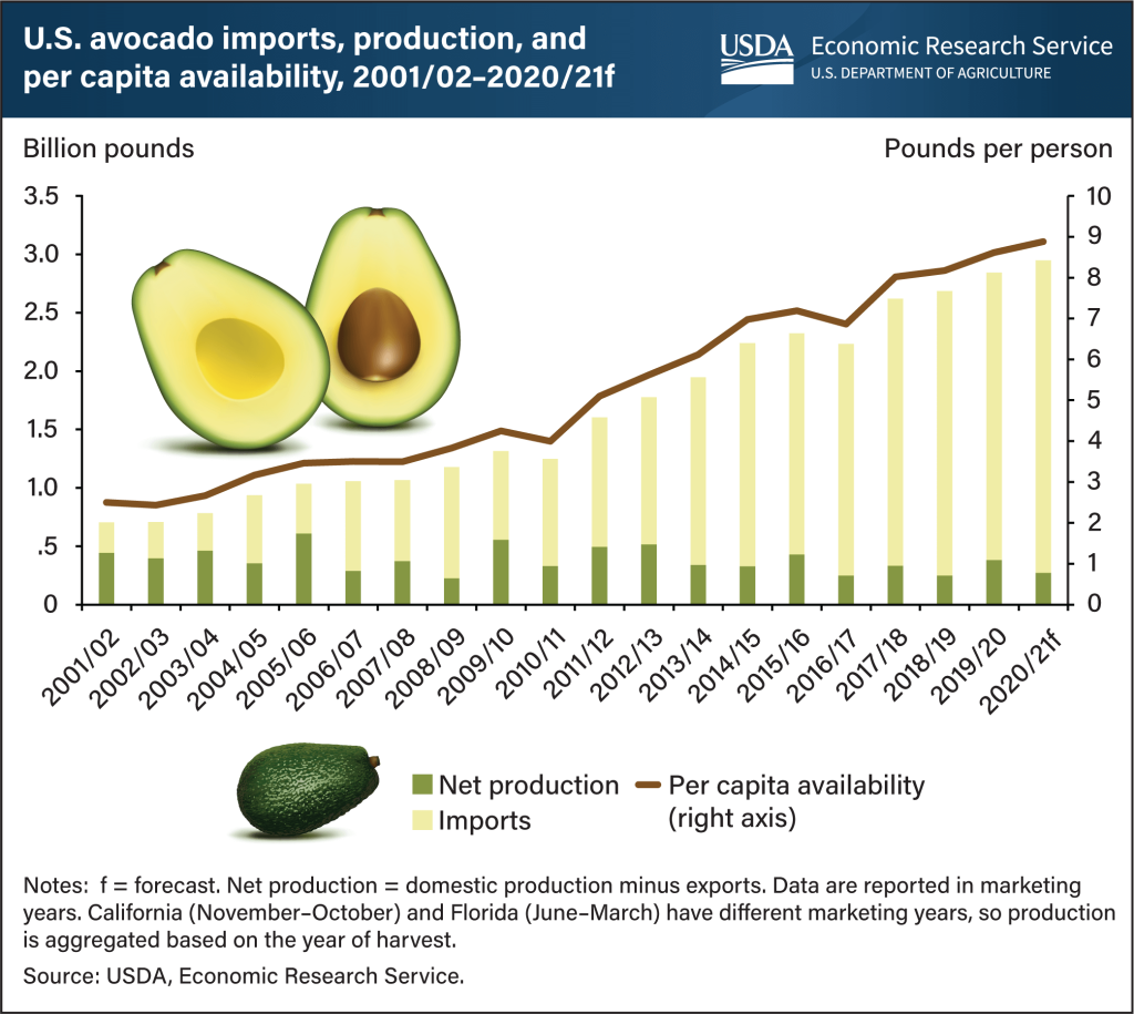 U.S. America Avocado import and production graphic 