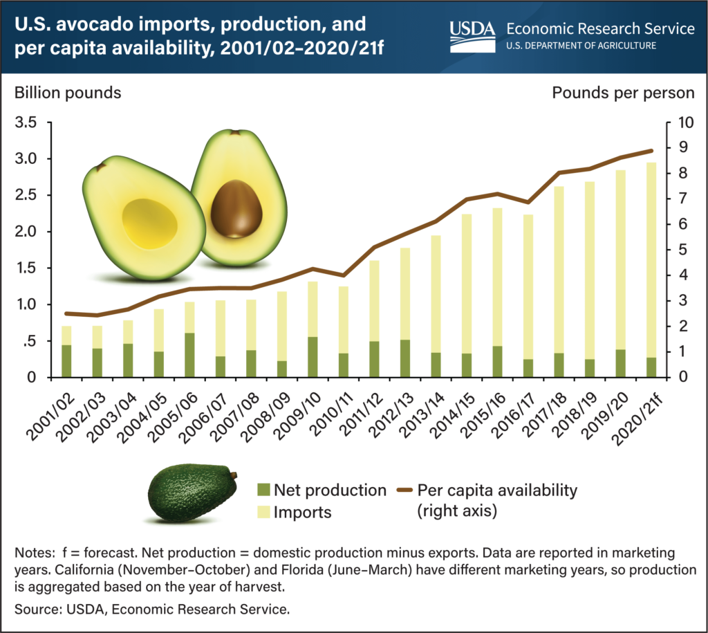 U.S. America Avocado import and production graphic 